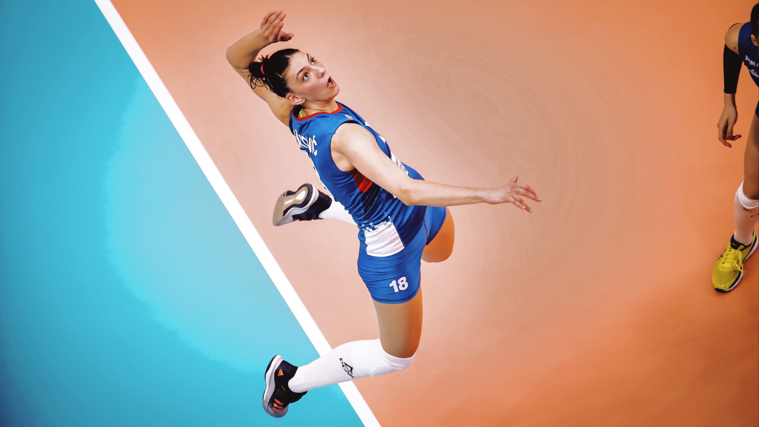 Boskovic – born to play volleyball – FIVB